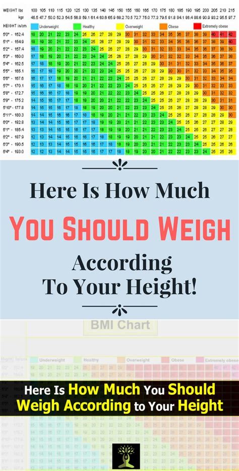 Here Is How Much You Should Weigh According To Your Height Weight