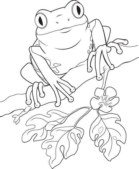 Tree Frog Clipart Black And White Clip Art Library