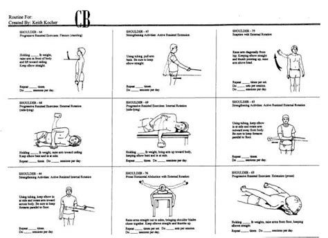 Printable Shoulder Impingement Exercises Printable Templates