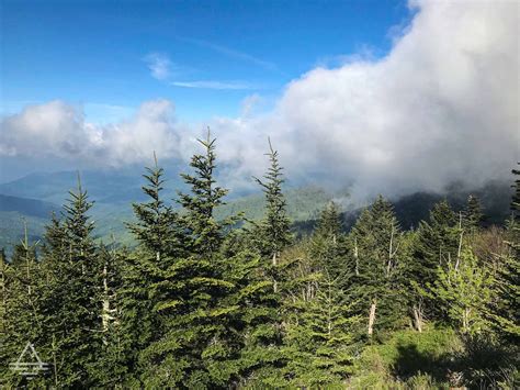 Clingmans Dome Trail - TRIPS TIPS and TEES