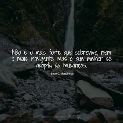 Reflexão Comemoração Reflexões Sobre A Vida No Geral Bonitas Mensagens