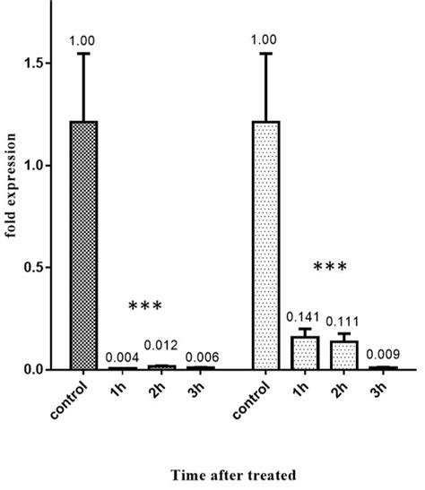 Effect Of Auraptene On Mcl Gene Expression After Or H