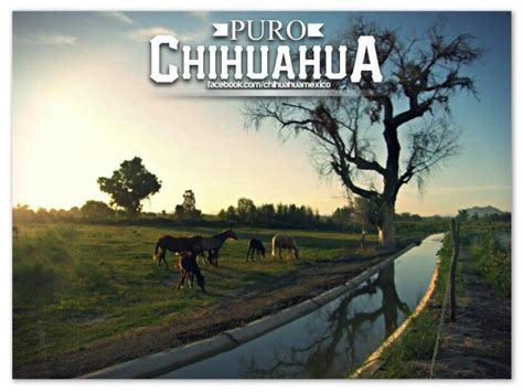 Ojinaga, Chihuahua. | Chihuahua mexico, Chihuahua, Beautiful places