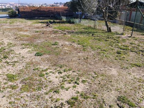 Arrendamento De Terreno Na Rua Jaime Ferreira Dias S N Centro De