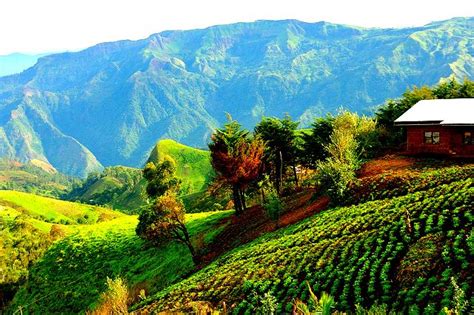 Paysage De La Region De Bamboutos Dans L Ouest Camerounais L Un Des