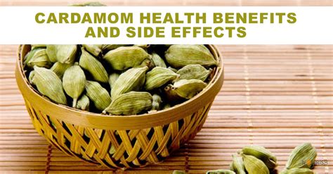 Cardamom Health Benefits & Side Effects - NourishDoc