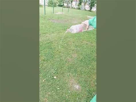 #для ляль - YouTube