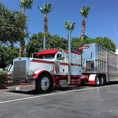 Peterbilt Custom 379 Bull Hauler Peterbilt Peterbilt Trucks Big Trucks