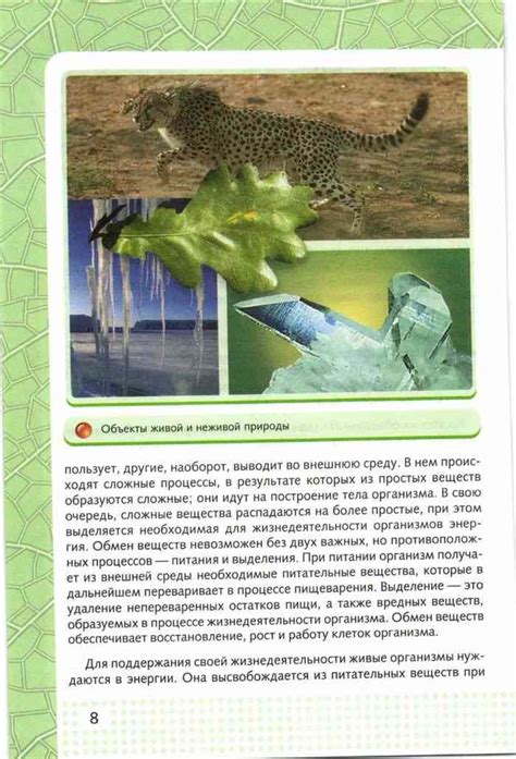 Учебник биология 6 класс Сивоглазов читать онлайн