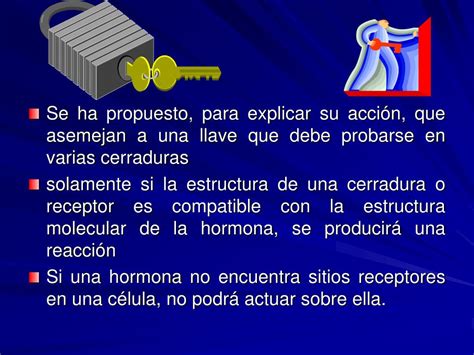 Ppt Sistema Endocrino Powerpoint Presentation Free Download Id 4961505