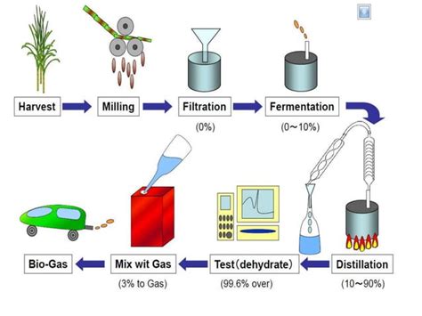 Ethanol production | PPT