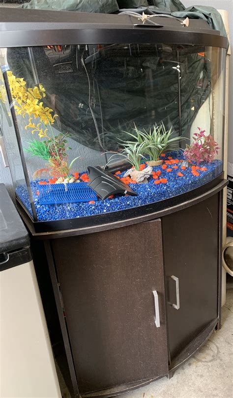 Gallon Bow Front Aquarium Setup Ppgbbe Intranet Biologia Ufrj Br