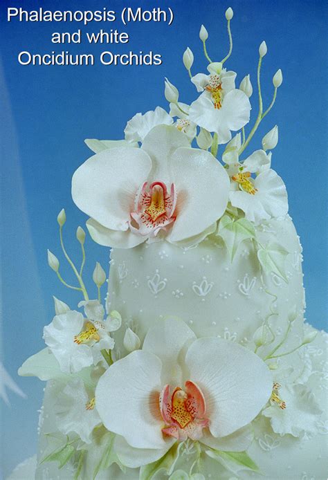 Oncidium Orchid Cutters World Of Sugar Art