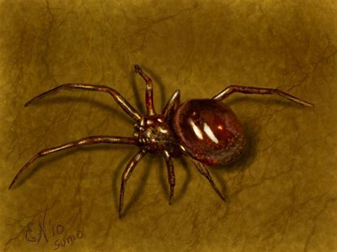 Spider Textures Digital Art By Ellen Dawson Pixels