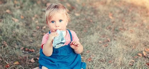 Caring Choices: Selecting Organic Snacks for Your Baby - Poler Stuff