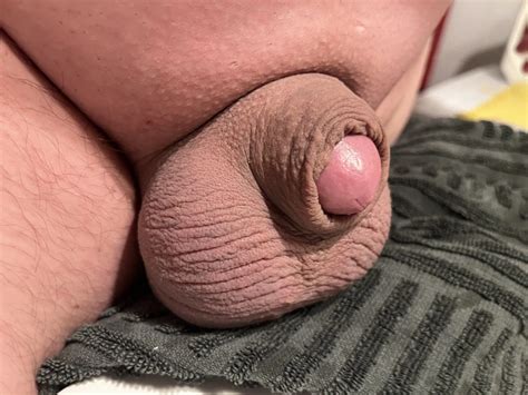 Shaved Uncut Babydick 5 Nude Pics XHamster