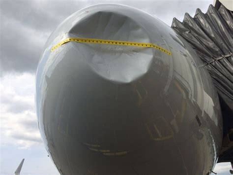 Bird strike causes plane to make unplanned landing at Sea-Tac | The Seattle Times