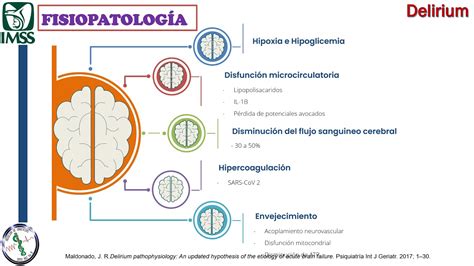 Diferença Entre Delirio E Delirium BRAINCP