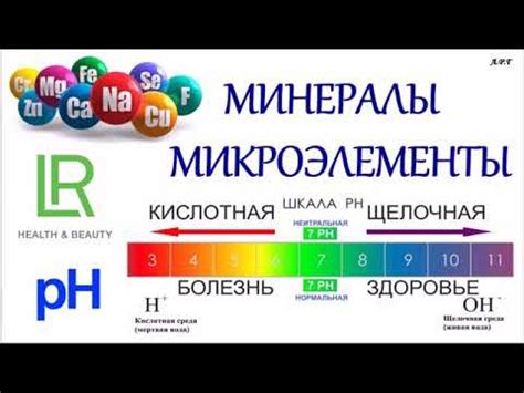 Продукт ЛР - ПроБаланс - YouTube
