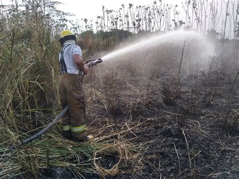 Protecci N Civil Sofoca Incendio De Pastizal En Tapachula