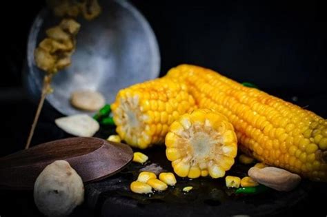 Cara Menanam Jagung Langkah Perawatan Hingga Panen Jagung