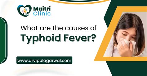 What are the Causes of Typhoid Fever?