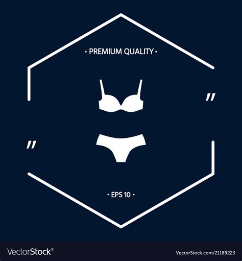 Set Of Lingerie Or Swimsuit Two Piece Bikini Vector Image