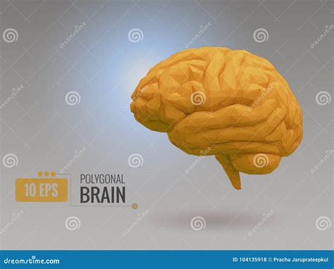 Low Poly Yellow Brain On Gray Bg Stock Vector Illustration Of Head