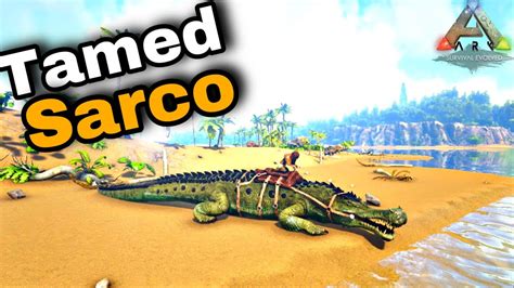 How To Tame A Sarco In Ark Survival Evolved YouTube