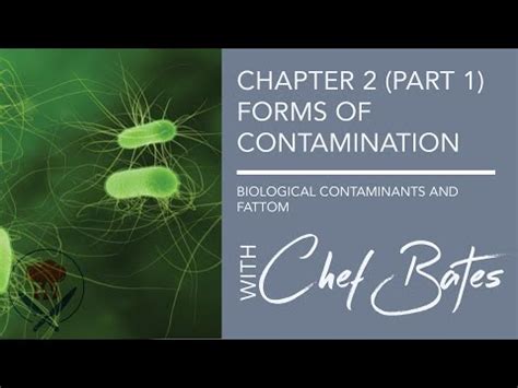 Servsafe Chapter Forms Of Contamination Quizalize