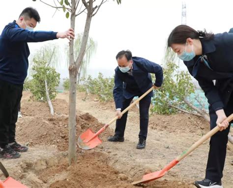 新郑市四大班子领导开展义务植树活动 腾讯新闻