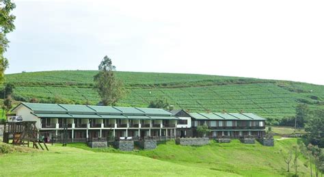 Ooty Hotels Hotel Destiny Farm Stay Hotel Destiny Farm Stay In Ooty