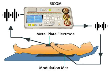 Bioresonance Therapy Discover The Future Of Medicine