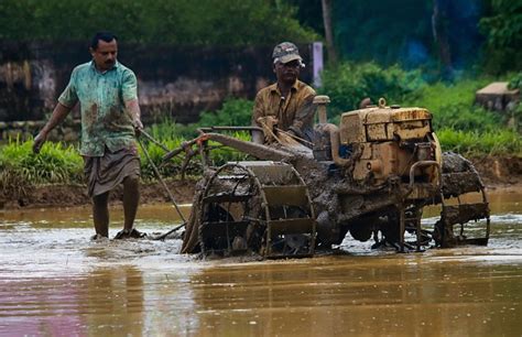 Jurusan Agribisnis Info Lengkap Prospek Kerja Dan Kelebihannya