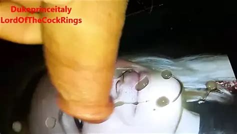 Tribute To Bellamoss Free Man HD Porn Video D XHamster XHamster