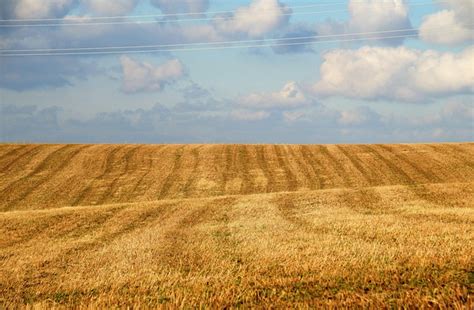 Más de 40 000 imágenes gratis de Desnudo Femenino Con Vagina y Mujer Pixabay