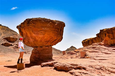 Nature of Israel: Places, Plants and Animals