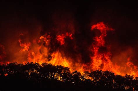 Hitzewelle in Portugal Mindestens 24 Verletzte bei Waldbränden an Algarve