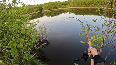 НОЧНАЯ РЫБАЛКА НА "ТИРОЛЬСКУЮ ПАЛОЧКУ" / NIGHT FISHING ON THE "TYROLKA ...