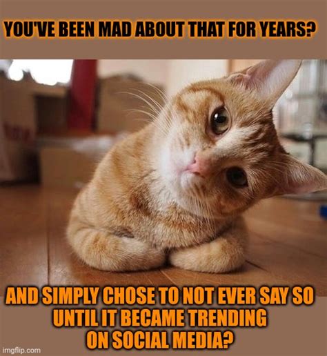 This Lolcat Wonders Why People Are Only Upset When Something Becomes