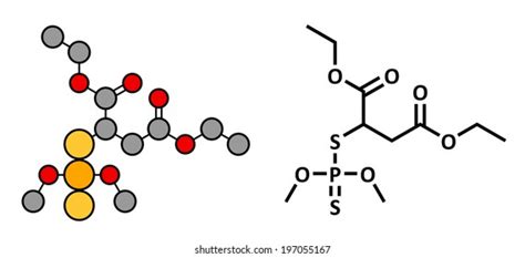 Malathion Insecticide Chemical Structure Used Treat Stock Illustration 197055167 Shutterstock