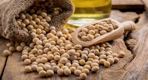 These Health Benefits Of Soybeans Will Impress You Thehealthsite