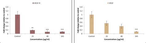 The Angiogenic Gene Expression Profile In Ht 29 Cells Following The