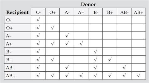 DayZ Blood Type Chart