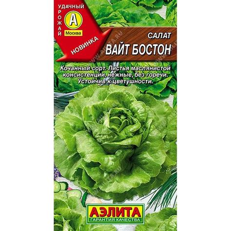Семена Салат Вайт бостон: описание сорта, фото - купить с доставкой или ...