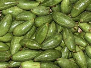 Parwal,Parwal Vegetable,Fresh Parwal,Fresh Pointed Gourd Exporters ...