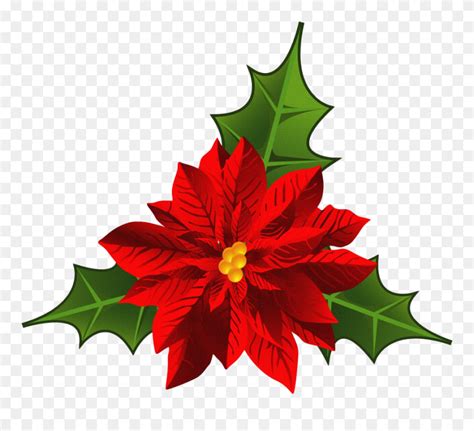 Christmas Poinsettia Png Hd Flor De Nochebuena Png Clipart