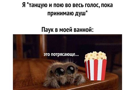 Паук | Пикабу