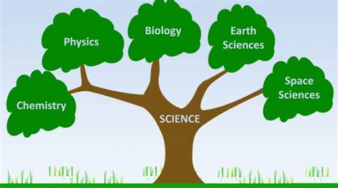 Branches of science: All you need to know about branches of science