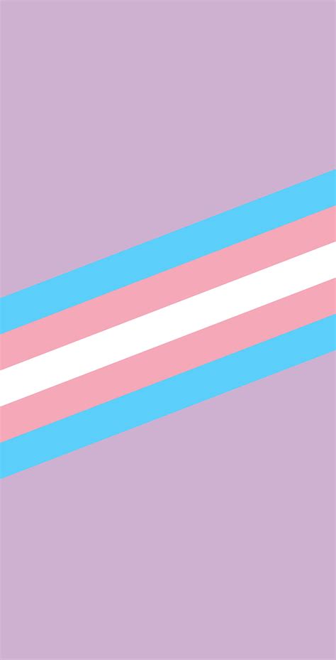 Transgender Flag Wallpaper